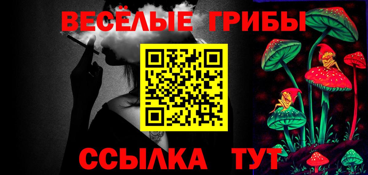 Сертолово  Галлюциногенные грибы Psilocybe  Вход с VPN 