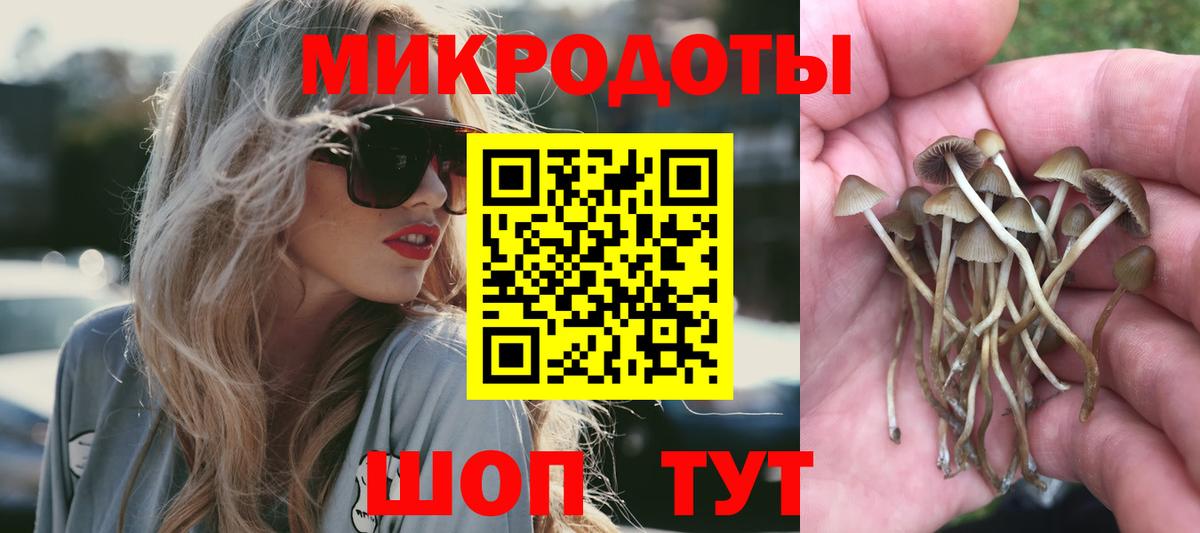 Галлюциногенные грибы MAGIC MUSHROOMS Сертолово