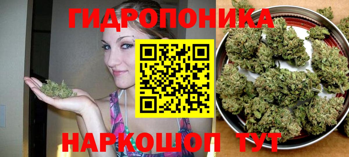 Сертолово  Бошки марихуана THC 21%  Бошки Шишки OG Kush  Вход с VPN  Марихуана Amnesia 